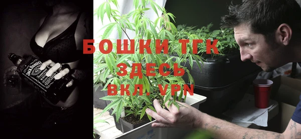 эйфоретик Белокуриха